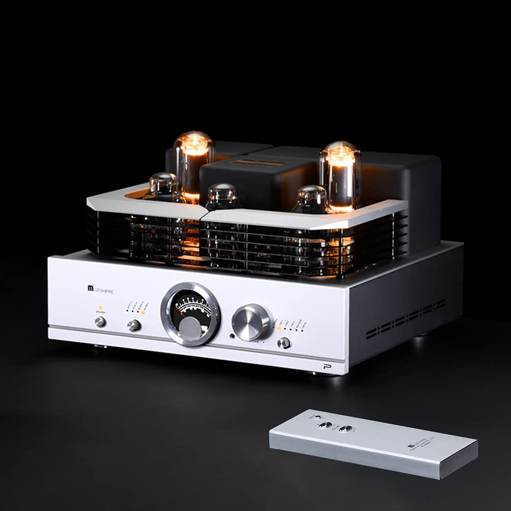 Amazon.com: Muzishare R100 300B 805 Single-Ended Class A,an