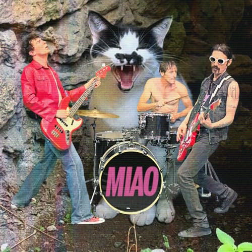 Miao