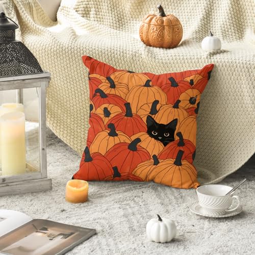 Coussin automne chat noir pour une déco de ferme chaleureuse
