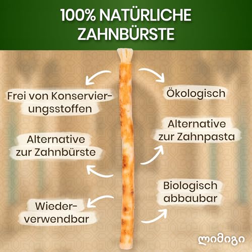 MODOGO® Miswak Siwak Zahnbürste x2 - Natürliche Zahnpflege mit Miswak-Stick - Bio Zahnholz für gesunde Zähne - Traditionelle Zahnreinigung für Mensch & Umwelt - Frisch verpackt