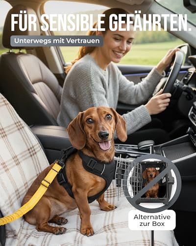 ZAUBERPFOTE Hundegurt 'Argo‘ fürs Auto – Verstellbarer Sicherheitsgurt mit Rückdämpfung & ISOFIX Anschluss – Anschnallgurt für alle Hunderassen (Gelb, Gr. S)