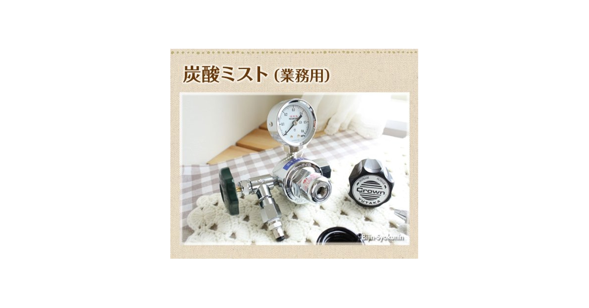 美人職人　炭酸ミスト　業務用　自宅使い可能　美品　減圧器のみなし 美人職人 炭酸ミスト 業務用 自宅使い可能 美品 減圧器のみなし