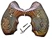 Premium Gun Grips Compatible Replacements for Taurus Stunning Rosewood Scroll 856, 942 22/38/357