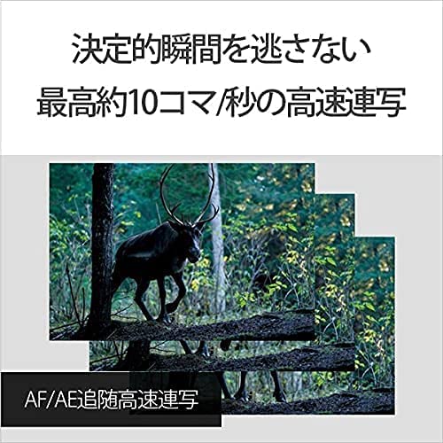 Amazon | SONY(ソニー) 【α7SM3 と 標準ズームレンズ(SEL24105G