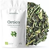 REPLANTEA Cuidamos tu Naturaleza