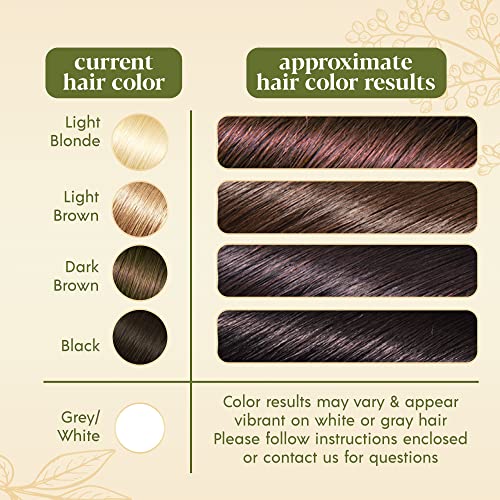 46V Black Cherry Tinte Capilar Herbal Henna miniatura 5