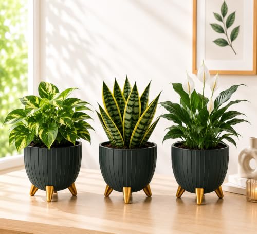 Image of Xmart India 7 Inch Decorative Plant Pot for Indoor & Outdoor Plants | Planter Pot with Stand & Legs |Ribbed Flower Pot for Home, Balcony, Garden, Living Room & Office | Plant Container (3, Green)