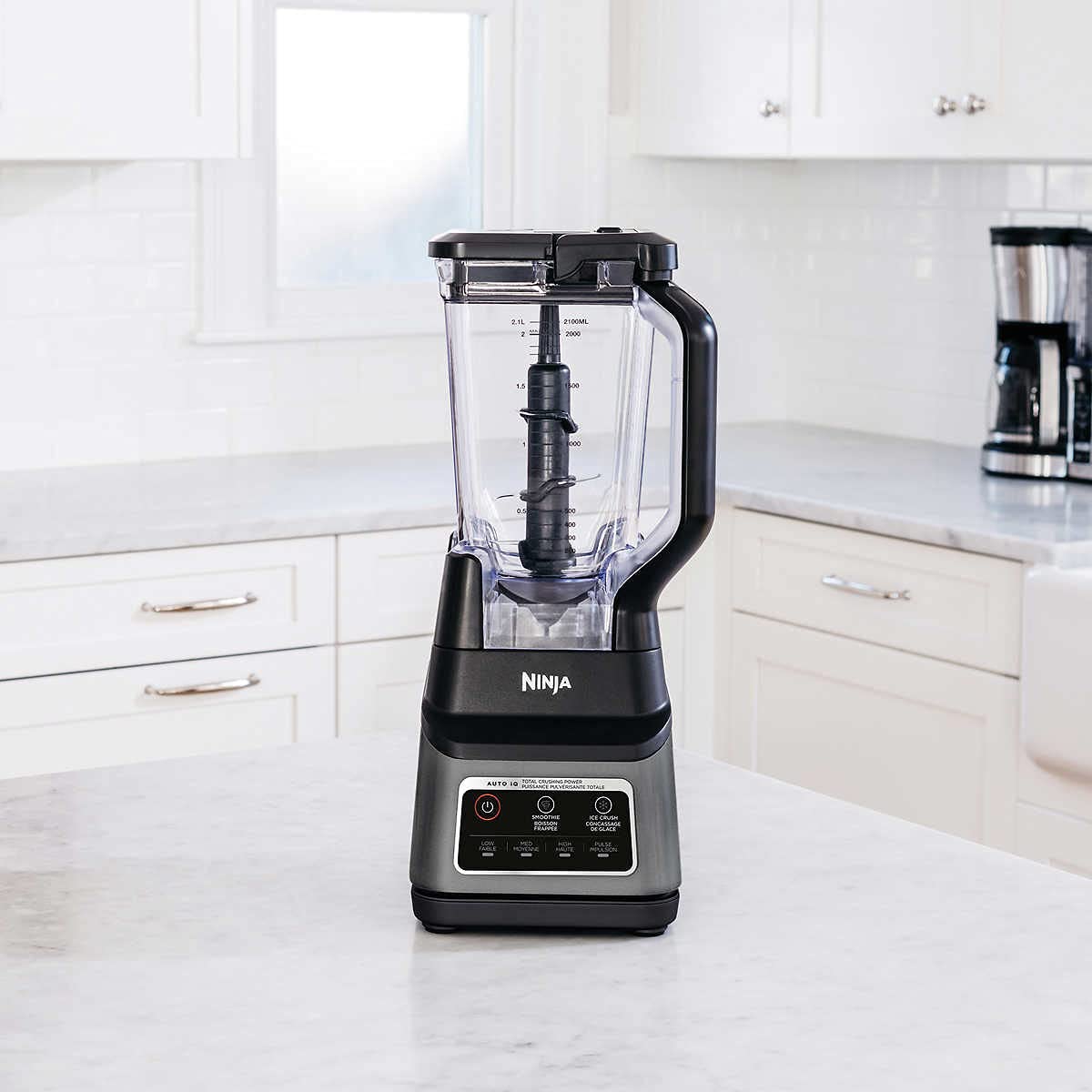 Ninja Professional Plus Blender : Amazon.ca: Home