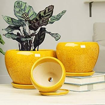 ☺️新品未使用❣️香蘭社 花柄 金色縁取り 大鉢1+中鉢5 切立鉢 香蘭社 中深鉢15cm - メルカリ