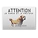 Pets-easy Plaque Attention au Chien Labrador Sable