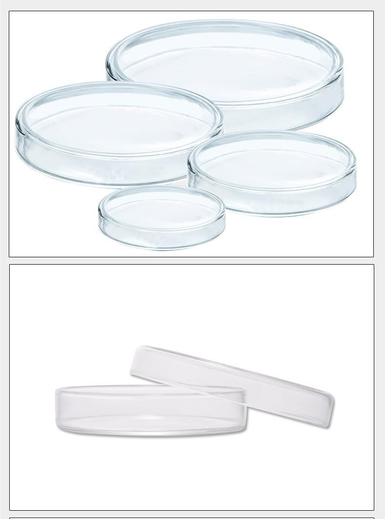 Placas de Petri de Vidrio Juego de 3, Placas de Cultivo de Vidrio Borosilicato 60–150mm para Laboratorio(200mm)