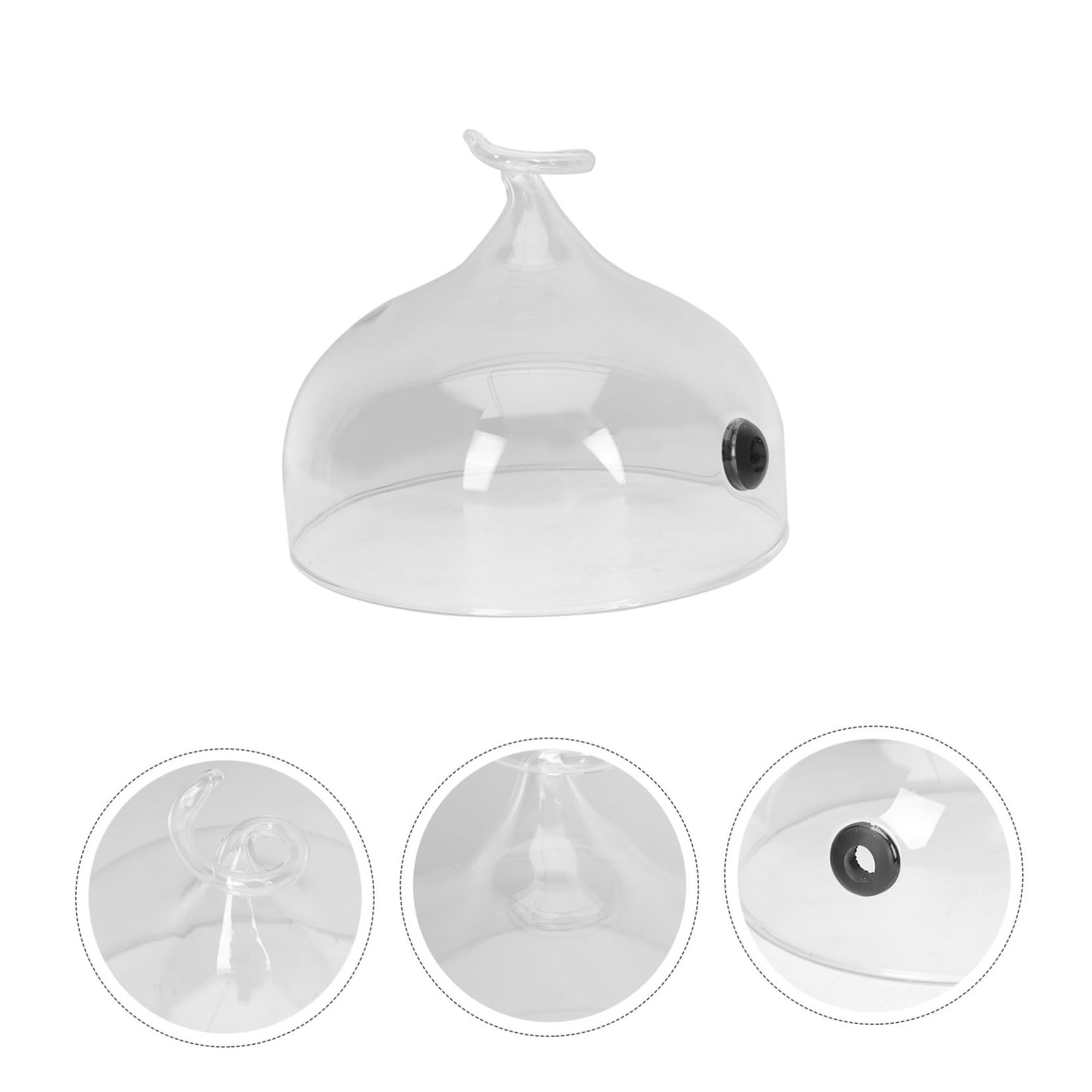 COLLBATH Campana Extractora De Vidrio Mostrar Infusor Bandejas Soporte Para Pasteles Con Cúpula Soporte Para Pasteles Con Tapa Hermético Parrilla Cúpula De Pastel Soporte De Pastel