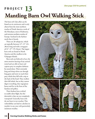 Carving Creative Walking Sticks and Canes: 13 Projects to Carve in Wood (Fox Chapel Publishing) Step-by-Step Instructions, Stickmaking Tips, Finishing, and More, for Carvers from Beginner to Advanced - Image 3