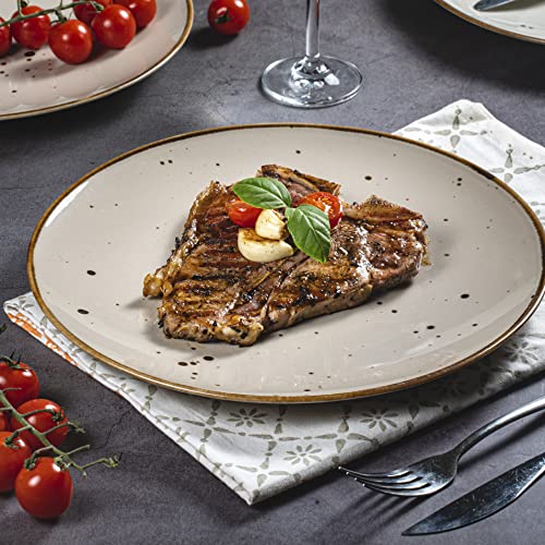 Esfour Ceramic Dinner Plates 11 Inch Set Of 6 - Microwave, Oven, Dishwasher Safe, Scratch Resistant, Porcelain Durable Dishes For Steak, Pizza, Home & Restaurant, Party, Gifts - Natural Assorted Color #TOP5