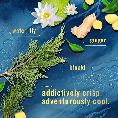 Image of Febreze Air Mist Air Freshener Spray, Odor-Fighting Room Spray, Air Fresheners for Home and Bathroom and Kitchen, Aerosol Can, Ocean Scent, 8.8oz (Pack of 3)