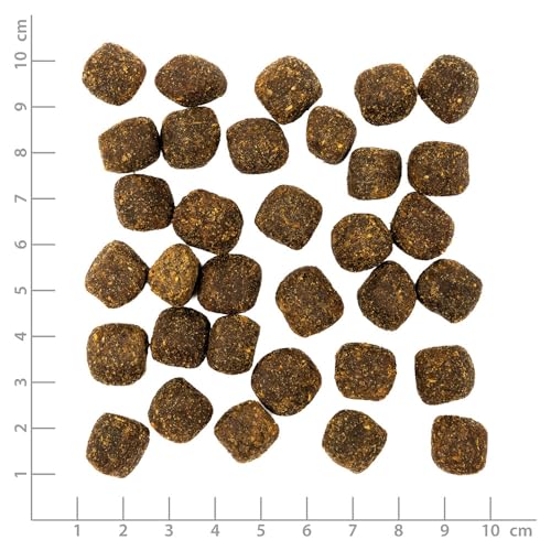 WOLFSBLUT VetLine Care Snack Joint Care – 2 x 100g | Gelenksnack Hund mit Grünlippmuschel, Glucosamin & Chondroitin | Softsnack bei Arthrose & zur Gelenkunterstützung