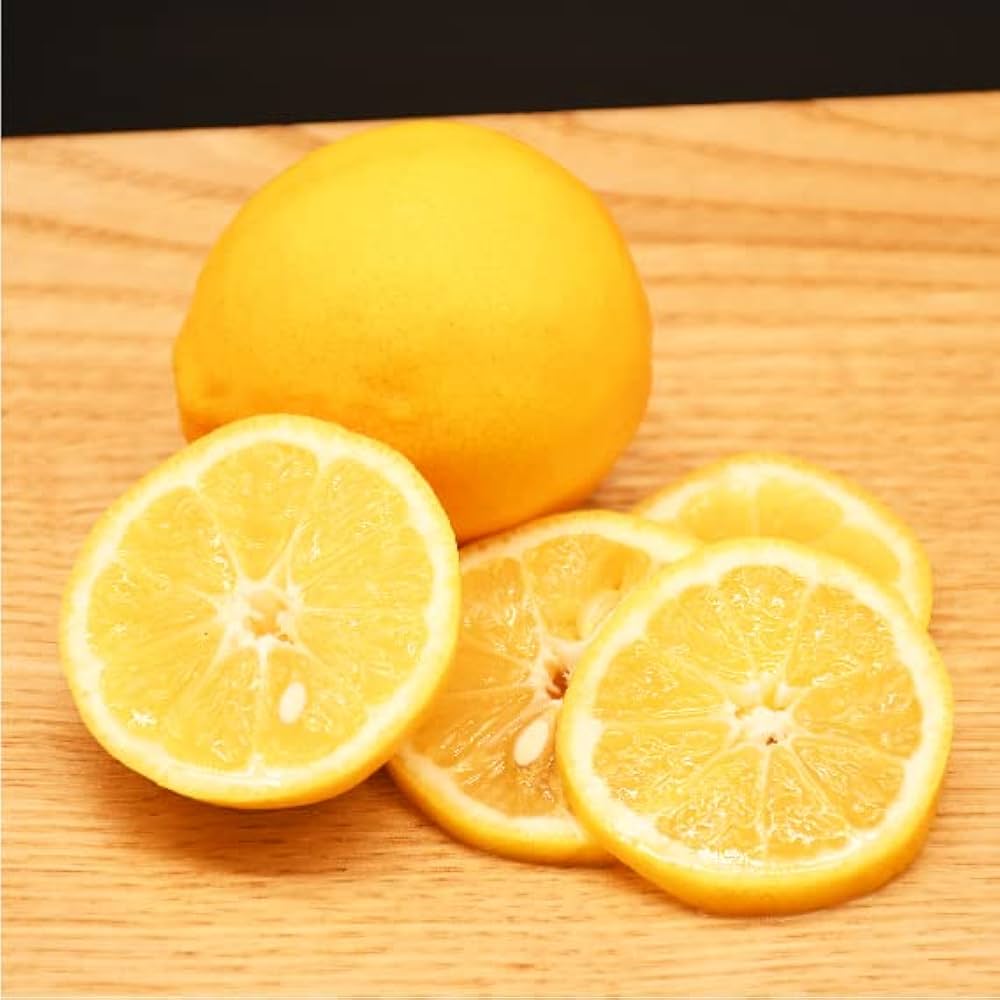 Amazon.co.jp: レモン 苗木 【レモン21】 1年生 挿し木苗 : DIY・工具