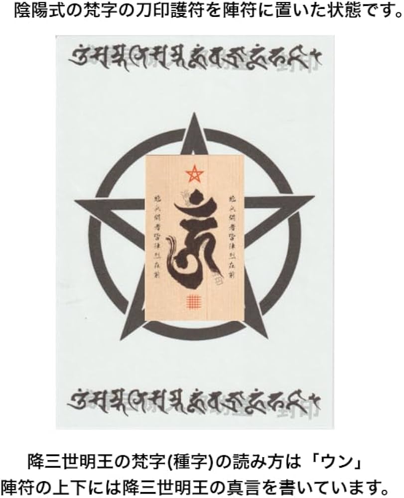 専用様 呪符2枚 秘術 Amazon.co.jp: 【宝くじ・ギャンブル必勝の呪符】陰陽師 結界呪術符