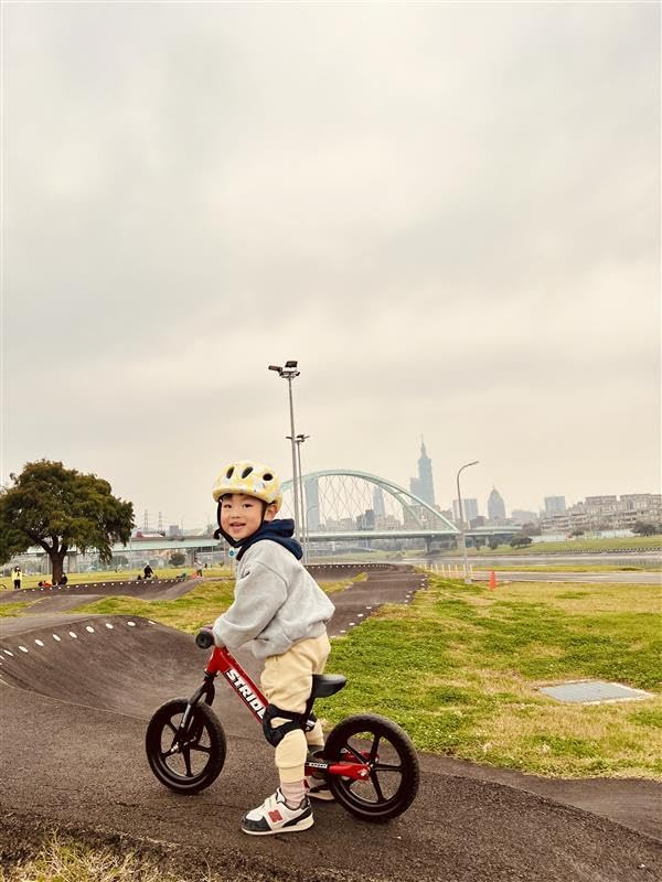 Strider 12” Sport Bike - No Pedal Balance Bicycle for Kids 18 Months to 5 Years - Includes Safety Pad, Padded Seat, Mini Grips & Flat-Free Tires - Tool-Free Assembly & Adjustments