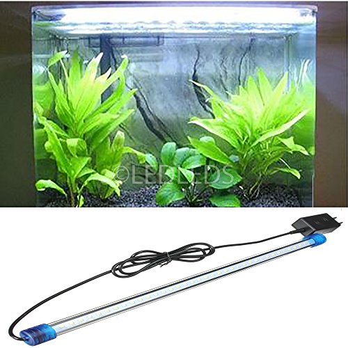 LedLeds LUCE ACQUARIO PLAFONIERA STRIP 55 LED 60 CM BIANCO NEON ALTA LUMINOSITA 3 WATT