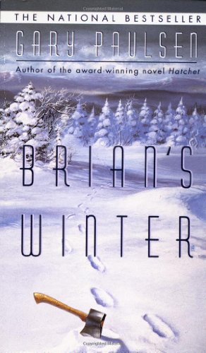 Brian's Winter view 2