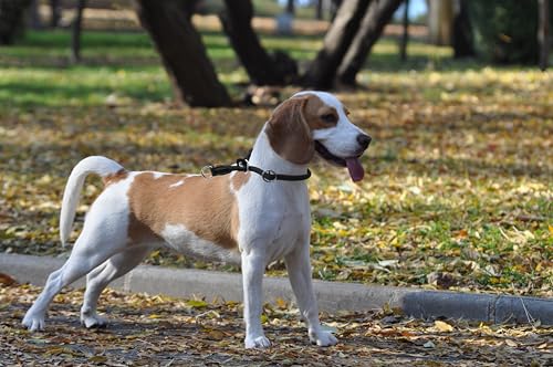Aiminto Braided Round Martingale Dog Collar, Training Collar with Slidable Stop Ring and Adjustable Stopper - Image 3