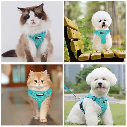 Anti Zug Hundegeschirr Kleine Mittelgroße Hunde, Mit Hundeleine Set,Atmungsaktiv Geschirr Hund Hundegeschirr Leuchtend, L