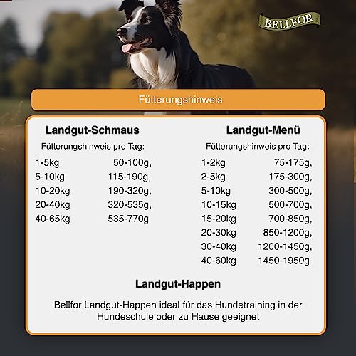 Bellfor Futterset für Dalmatiner Hochwertige Hypoallergenes Getreidefreies Nassfutter 400 g und Trockenfutter mit Insekten 2,5 kg mit Soft-Snacks 200 g