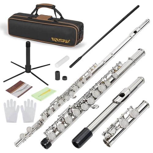 FREEAMG Closed Hole 16 Keys Flute, C Flute for Beginners Students, Flute Instrument with Carrying Case, Cleaning Kit, Stand, Gloves, Tuning Rod, Nickel