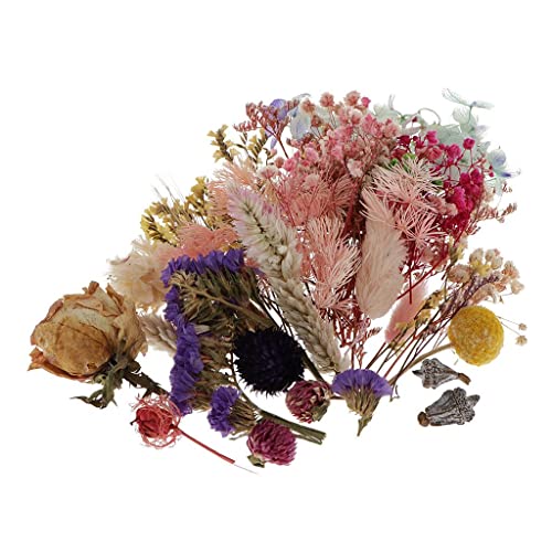 10 piezas flores secas naturales para manualidades miniatura 4
