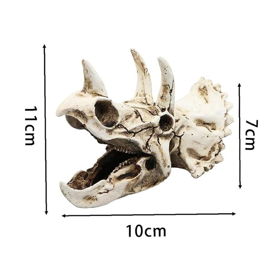 Amazon.co.jp: 隠れ家 レイアウト 熱帯魚 水槽 オーナメント