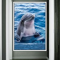 Framed Canvas Wall Art Fish on The Surface Bedroom Dolphin Marine Life Multicolor Nautical Photography - 16x24 inches