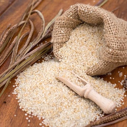 Image of Veganic Samak Chawal | Sama Rice For Fast | Samvat Ke Chawal | Barnyard Millet | Vari | Bhagar for Vrat | Navratri Upwas Rice | (संवत के चावल /सावा चावल) (400 GM)
