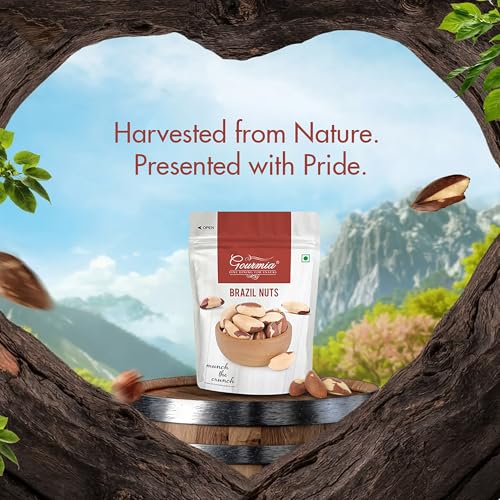 Image of Gourmia Premium Brazil Nuts 200g, Superfood, Brazilian Nut without Shell, Healthy Crunchy Protein Snack, Rich in Dietary Fibre