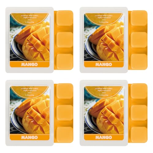 SCENTORINI Wax Melts, Warm Fireplace Scented Wax Melts, Pack of 4, Natural Soy Cubes for Candle Making, Wax Warmer, Home Christmas Decoration Warm Fireplace - 4 Pack