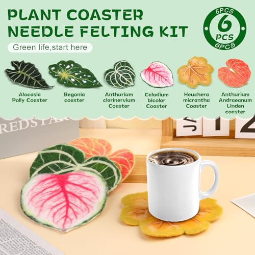 Image of OEHPICC Needle Felting Kit, 6 Pcs Plant Leaf Coasters Needle Felting Starter Kit,Wool Felting Kit with Wool Roving, Foam Pad and Instructions for DIY Felting Starters