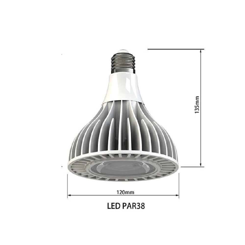 RZL Éclairage, Lot de 4 spots LED COB, E27 12 W AC85~265 V, ampoule PAR38 en aluminium(Natural white)