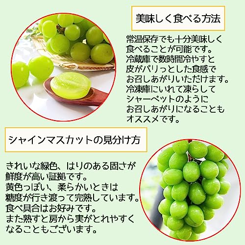 BAYU STORE シャインマスカットと種なしブドウ の商品画像 1