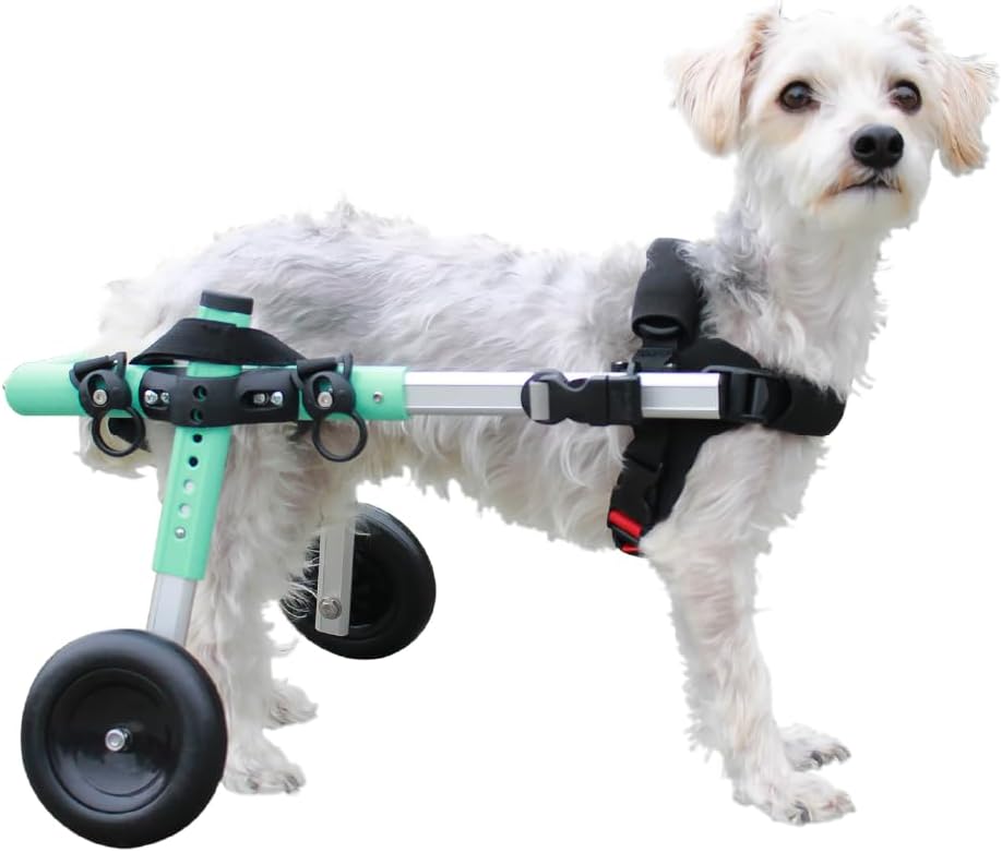 Small Dog Wheelchair, Lightweight Dog Wheelchair for Back Legs, 11-14 lbs, for 7-8 inches Leg Height - Seafoam