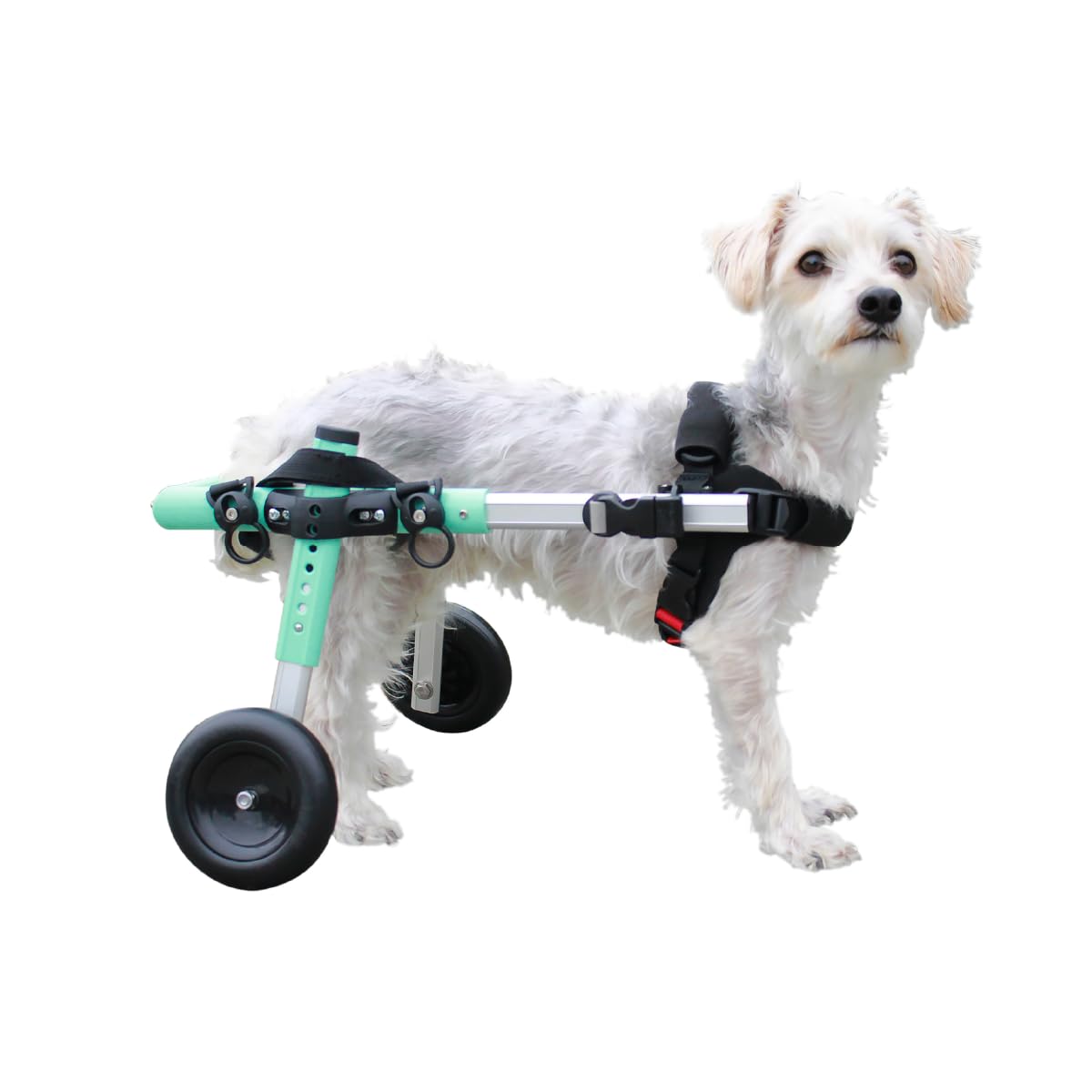 Walkin' Wheels Small Dog Wheelchair, Lightweight Dog Wheelchair for Back Legs, 11-14 lbs, for 7-8 inches Leg Height - Seafoam