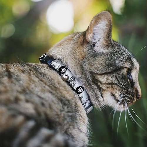 Collier pour chat Che Guevara Buckle Down réglable 8-30 cm