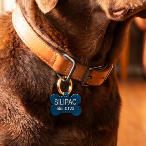 Image of Heavy Duty Dog Tag & Key Rings 30mm 10 Pack - Nickel-Plated Iron Split Rings for Pet ID, Keys, Crafts & Lanyards