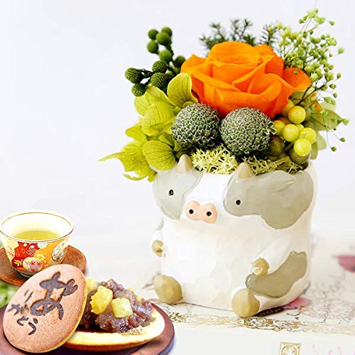 誕生日 の プレゼント 人気商品 花 バラ おいもや どら焼き お菓子 花とスイーツ お祝いギフト プリザーブドフラワー アレンジメント (牛・グレー)
