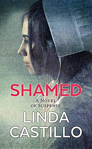 Buy Shamed (Center Point Large Print: Kate Burkholder) — BookShops.in