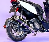 Realspeed (リアルスピード) ヤマハ X FORCE (8BK-SG79J) バイクマフラー Cougar クーガ ステンレス ブラックカラー マフラー エックスフォース RSP-CGA-213