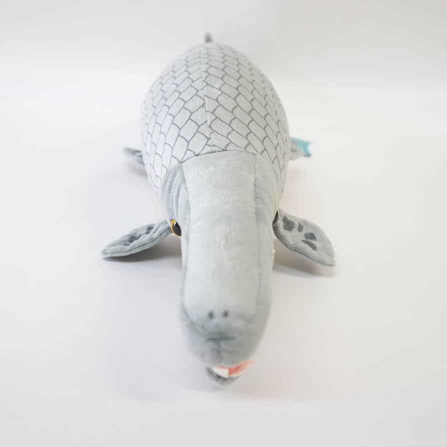 Amazon.co.jp: TSTアドバンス わくわく図鑑 アリゲーターガー