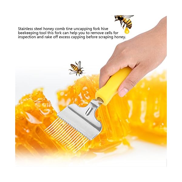 Entdeckelungsgabel Imker, Bienen Entdeckelungsgabel Edelstahl Honig Kamm ImkereiausrÃ¼stung ZubehÃ¶r Bienenzucht Werkzeug – Bild 5