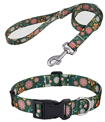 Mihqy Collier pour Chien et Laisse, Motif Tendance avec Boucle à dégagement Rapide, Bohème, Fleur Design, Collier Classique, pour Petits, Moyens et Grands...