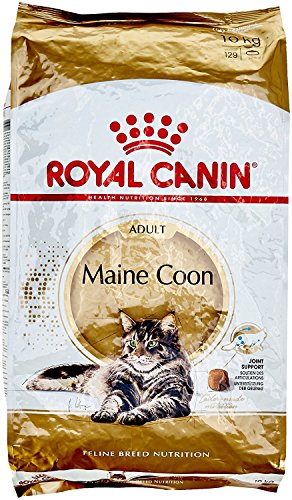 Royal Canin Maine Coon Katzenfutter, 10 kg