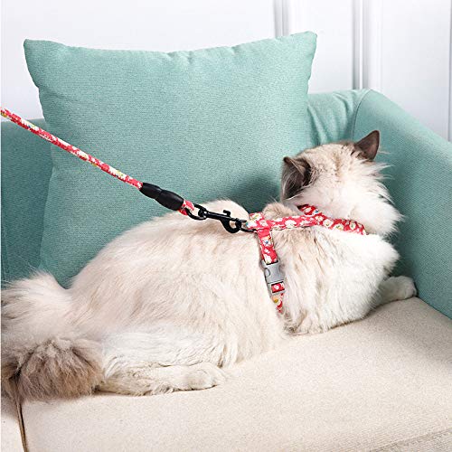 PetVogue-Cat-Harness-with-Leash-Set-Adjustable-Harness-Leash-Set-Soft-Cat-Walking-Harness-for-Kitten-and-Small-Animal-Red